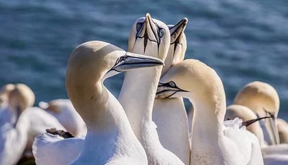 央行数字货币即将发行了吗？马云怎么看数字货币？