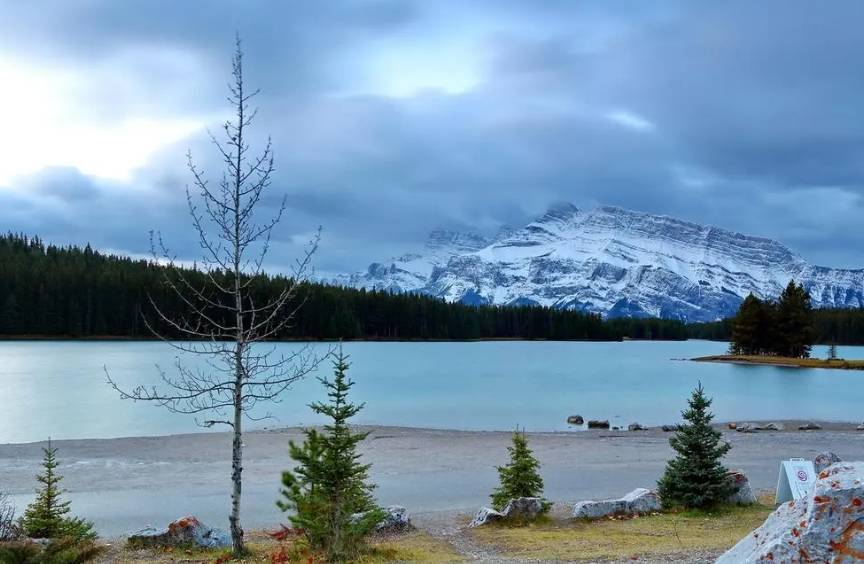 NCE外汇数字货币交易可靠吗?