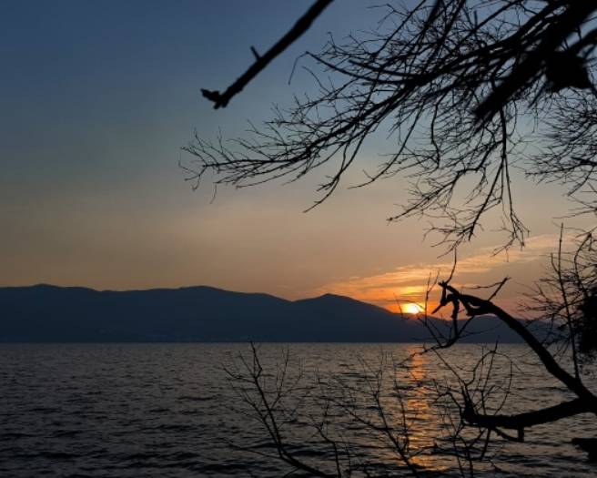 ADVANTRADE爱跟投数字货币交易扩展前景:市场动态与未来潜力