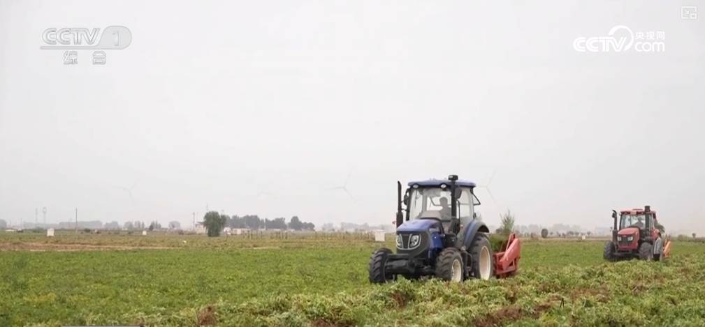 流“金”沃野奏响丰收“欢歌” 好“丰”景有了全新“打开方式”