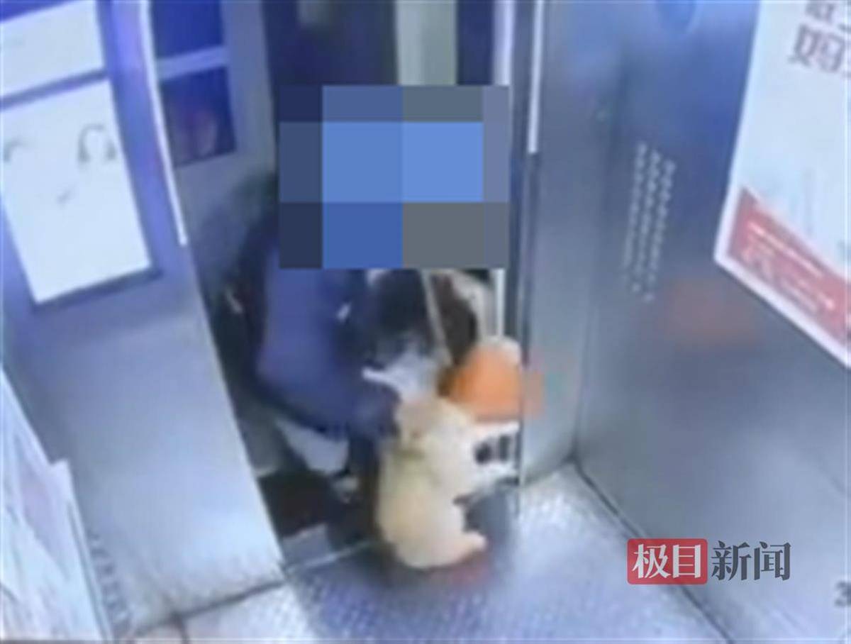 平台回应“外卖员从26楼将猫扔下摔死”:已永久清退涉事人员