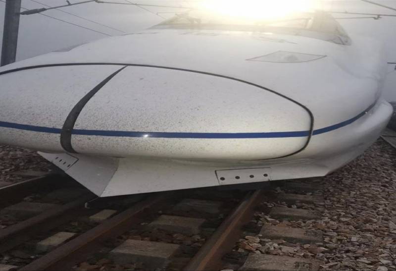 野猪侵入高铁线致晚点,机械师处置时身亡!曾有野猪闯进车站