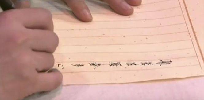 前央视知名主持人去世，年仅46岁