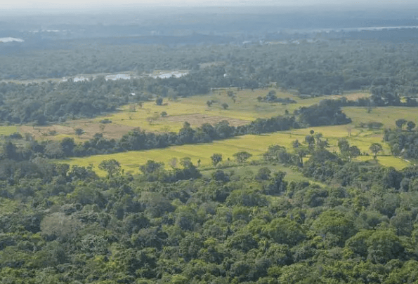 三大消息:亲俄果然是假象?我使馆紧急发声;普京希望中国帮一把!