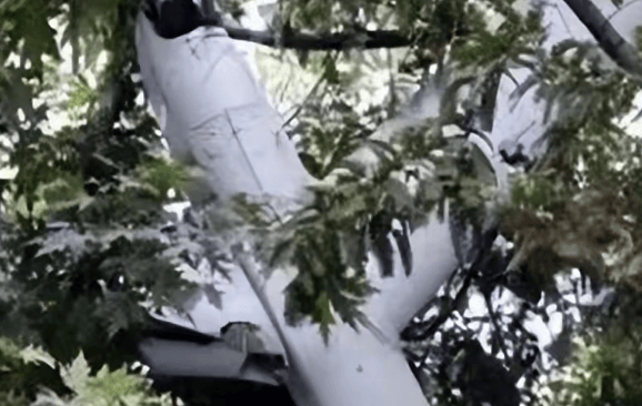 三大消息:中方被彻底激怒;普京情绪罕见失控;朝鲜发出最后警告