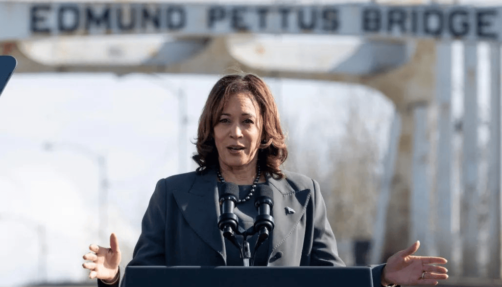 美国大选结局已定！哈里斯总统梦破碎？是时候该算总账了