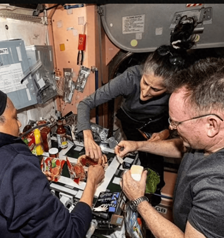 美滞留太空女宇航员被曝瘦成锥子脸,本人回应:只是体液转移,目前身体机能正常