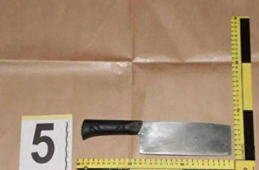 男子看监控发现妻子出轨,怒气冲冲回家抓现行,举起菜刀……