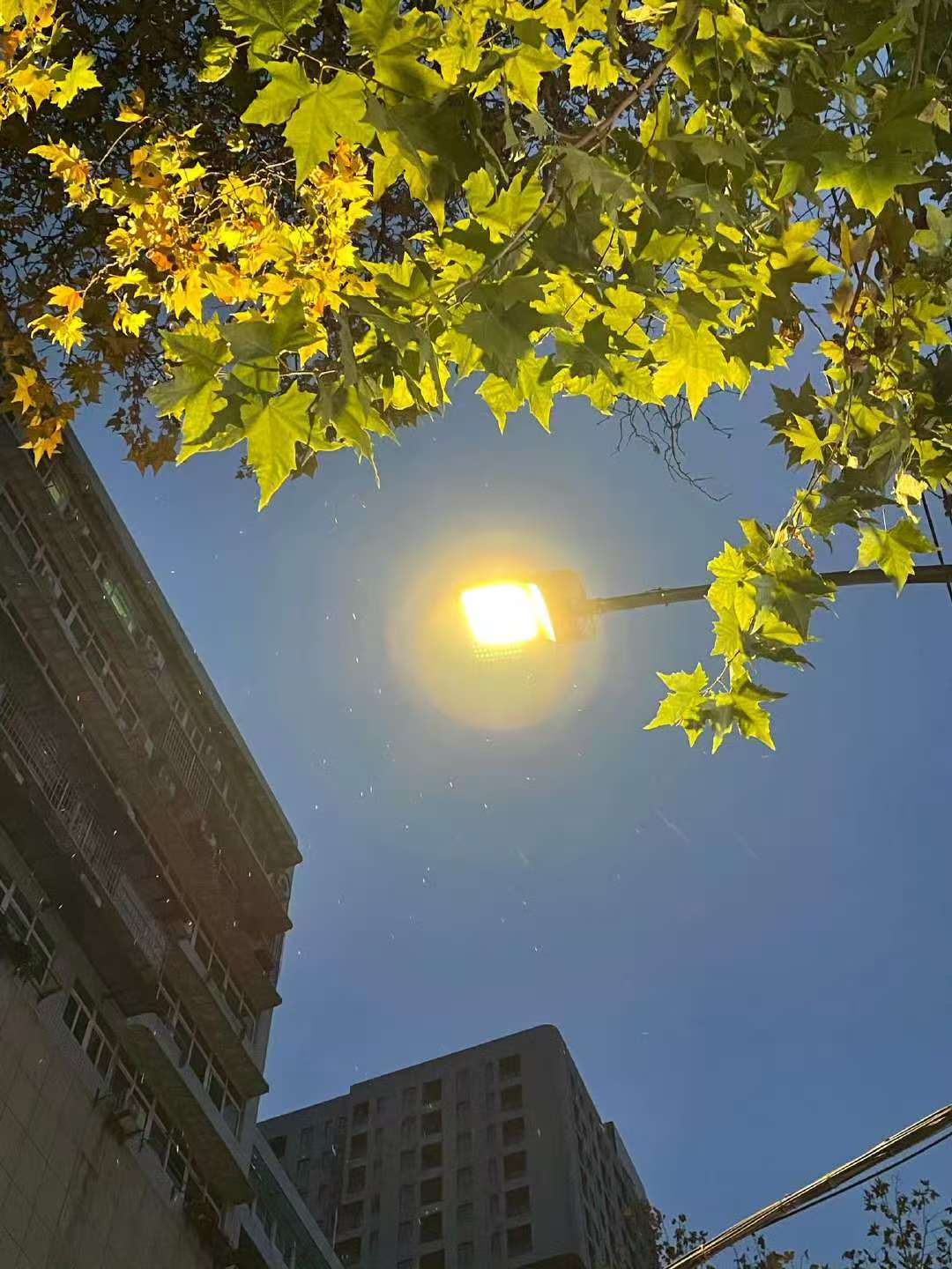 刚刚,武汉下雪了!最低气温-2℃,出门注意保暖