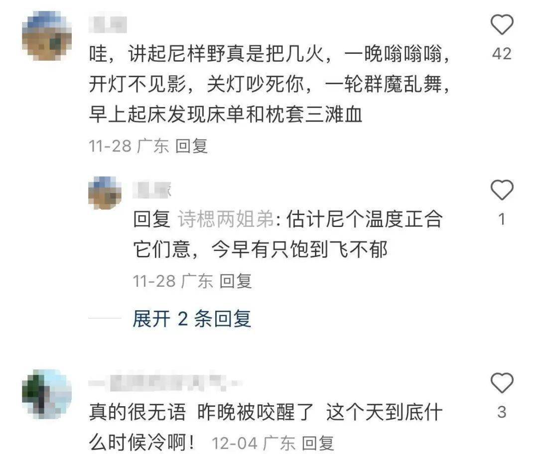 广东网友抓狂：这么冷的天，怎么它还在！