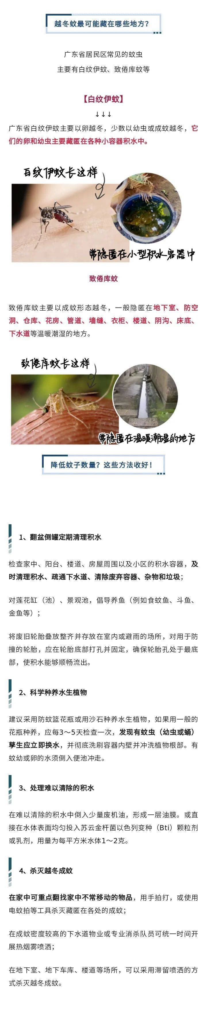 广东网友抓狂：这么冷的天，怎么它还在！