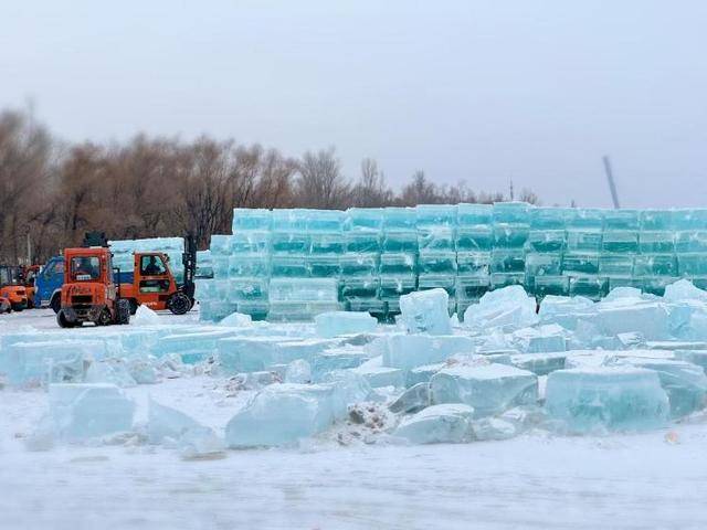 松花江上的父子和兄弟:凌晨零下20度出门采冰,月入万元