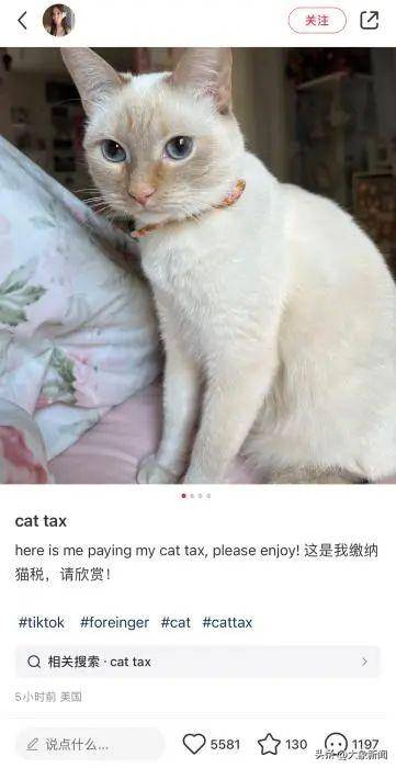 韩国人在武康路，美国人在小红书