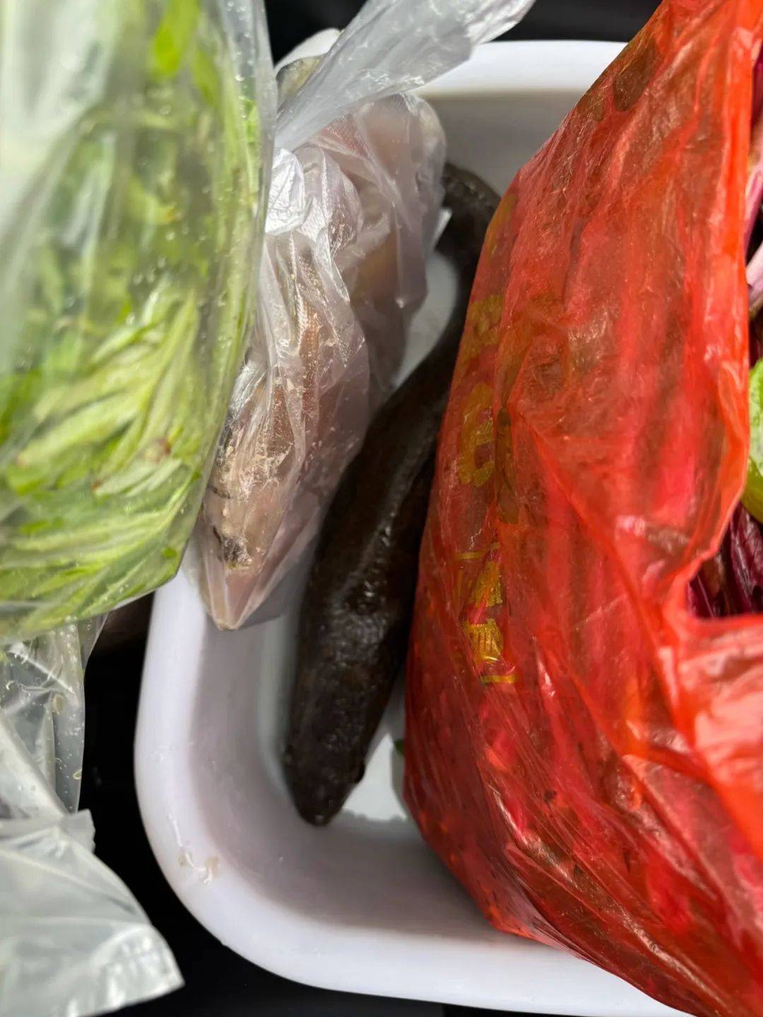 一条活鱼，爸爸亲手抓的！湖北小伙晒出后备箱，网友：满满都是爱