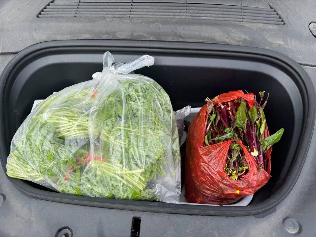 一条活鱼，爸爸亲手抓的！湖北小伙晒出后备箱，网友：满满都是爱