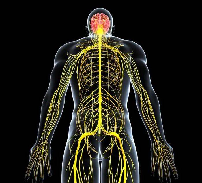 太突然！27岁男演员大年初二不幸去世，“最初以为只是普通感冒”