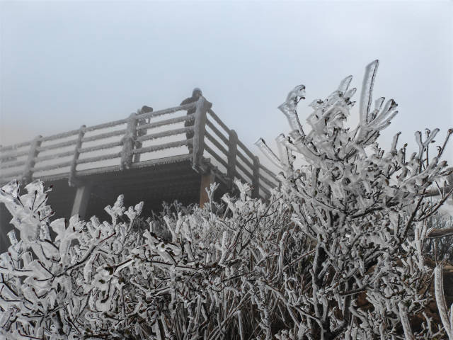 今日热搜｜立春广东迎瑞雪！