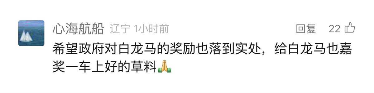 听劝！仙桃给“白龙马”开表彰大会，嘉奖其见义勇为