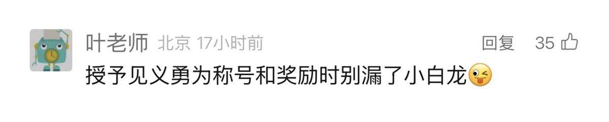 听劝！仙桃给“白龙马”开表彰大会，嘉奖其见义勇为