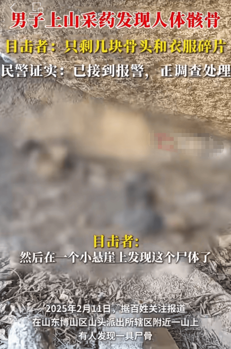山东淄博一男子上山采药发现人体骸骨!官方回应