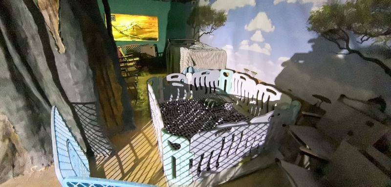 西安一动物园268元可撸狮子？记者探访发现已被西安野生动物保护站叫停