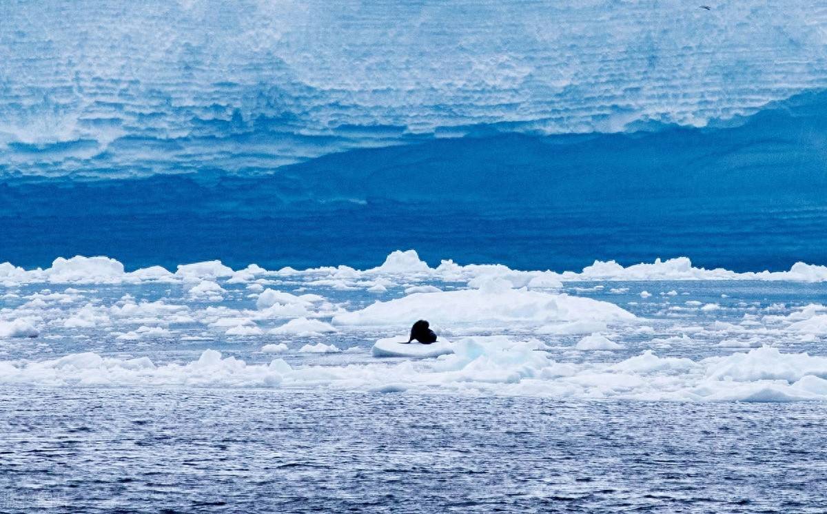 别光盯着俄乌了!地点北京,中美传出重磅消息,普京彻底坐不住了