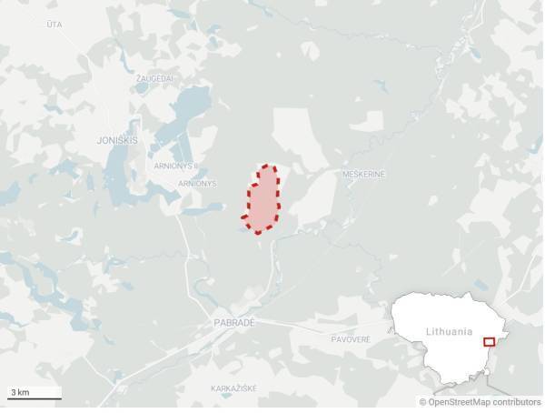 失踪美军的车辆没入沼泽内5米，立陶宛防长：救援或需数日
