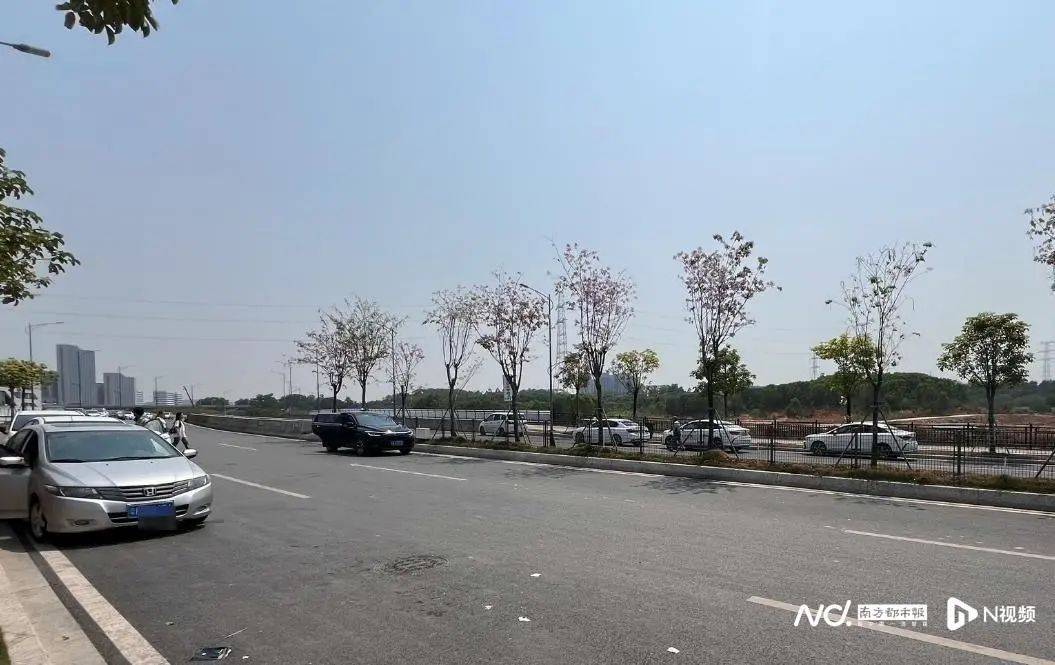 “一趟赚20块”!广州一高校门外,黑车司机在拉客