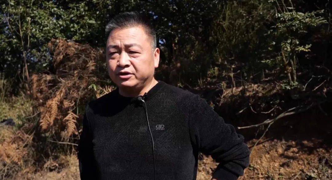 大山惊现6条裂缝,附近100多户居民害怕垮塌晚上不敢睡觉!和煤矿开采有关!当地回应……