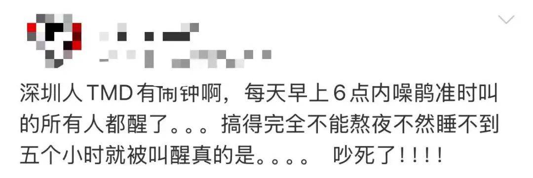 “周末想睡个懒觉都不行”,有多少深圳人被这种鸟吵到神经衰弱