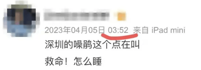 “周末想睡个懒觉都不行”,有多少深圳人被这种鸟吵到神经衰弱