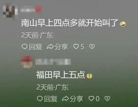 “周末想睡个懒觉都不行”,有多少深圳人被这种鸟吵到神经衰弱