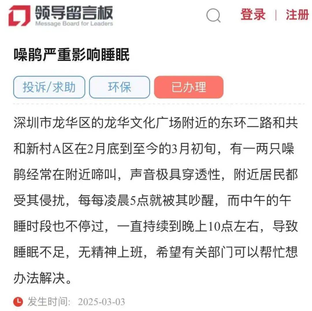 “周末想睡个懒觉都不行”,有多少深圳人被这种鸟吵到神经衰弱