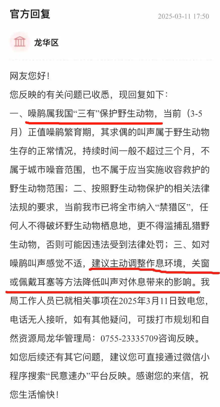 “周末想睡个懒觉都不行”,有多少深圳人被这种鸟吵到神经衰弱