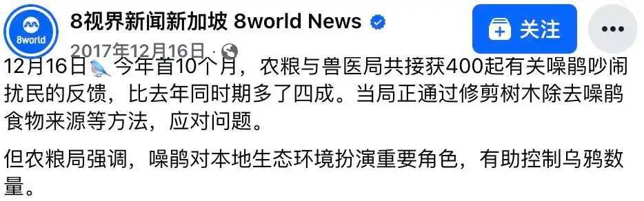 “周末想睡个懒觉都不行”,有多少深圳人被这种鸟吵到神经衰弱