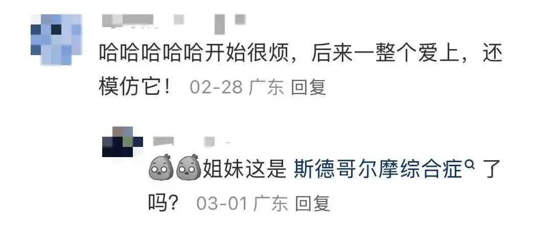 “周末想睡个懒觉都不行”,有多少深圳人被这种鸟吵到神经衰弱