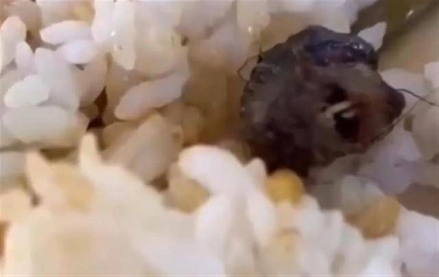 “指鼠为鸭”原局长调任上级部门,升职了?当地回应