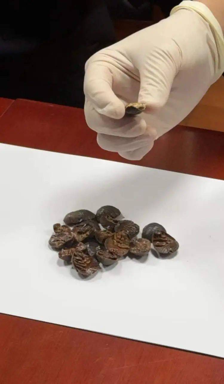 男子花7元买来100克土元虫敲诈3000余元