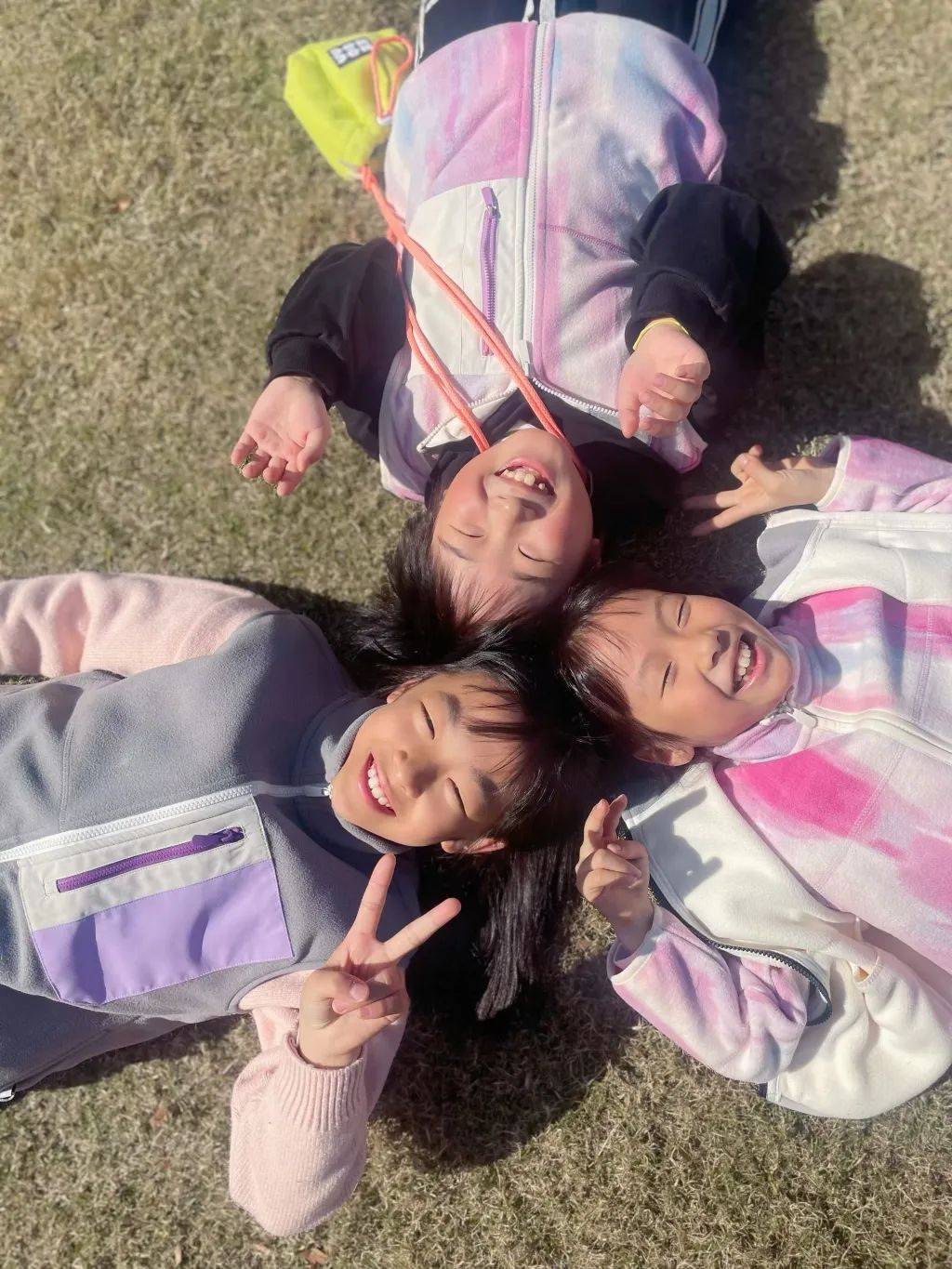 “五口之家”的离婚搭子