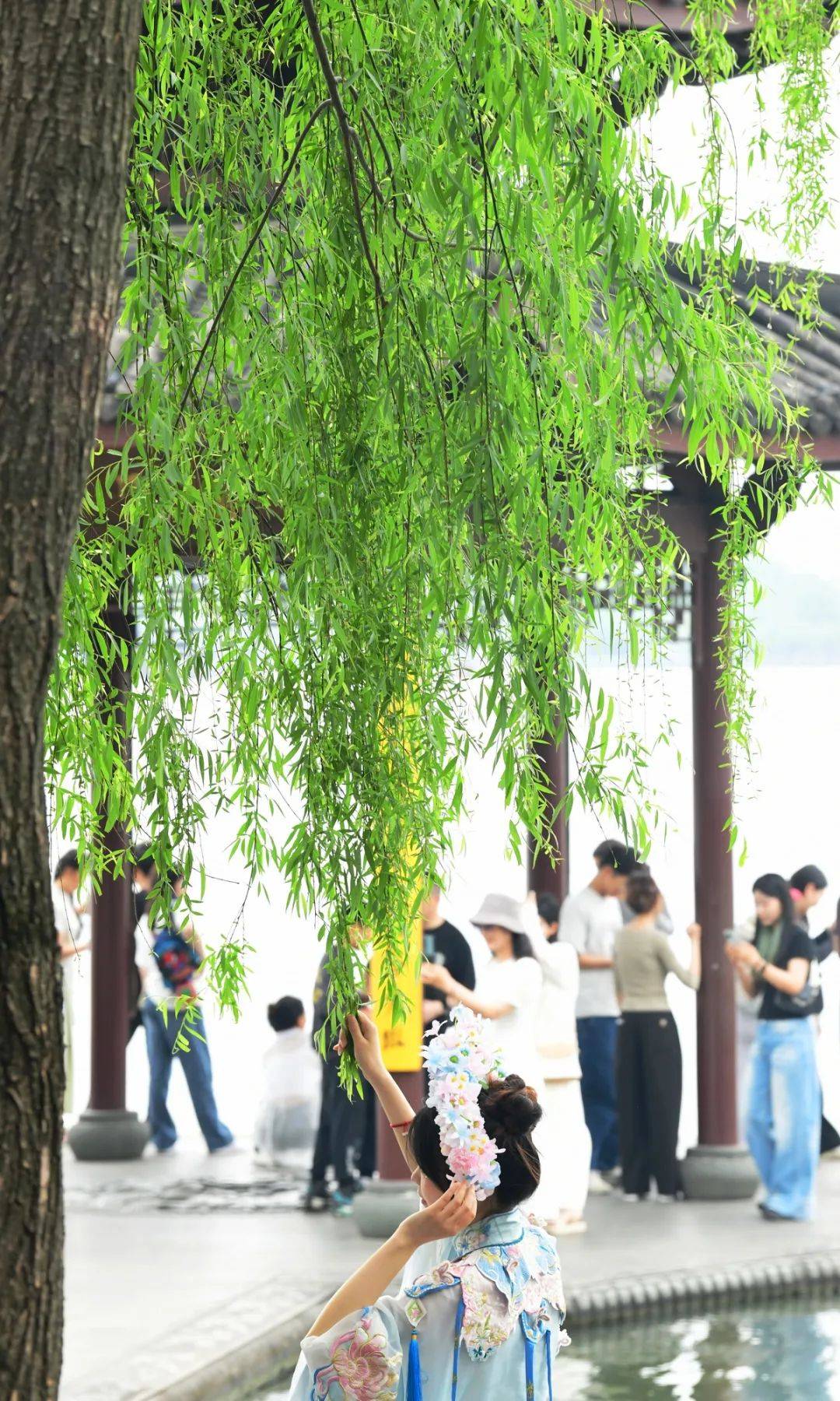 暴跌回10℃！浙江中午雨水杀到！杭州等地局部暴雨