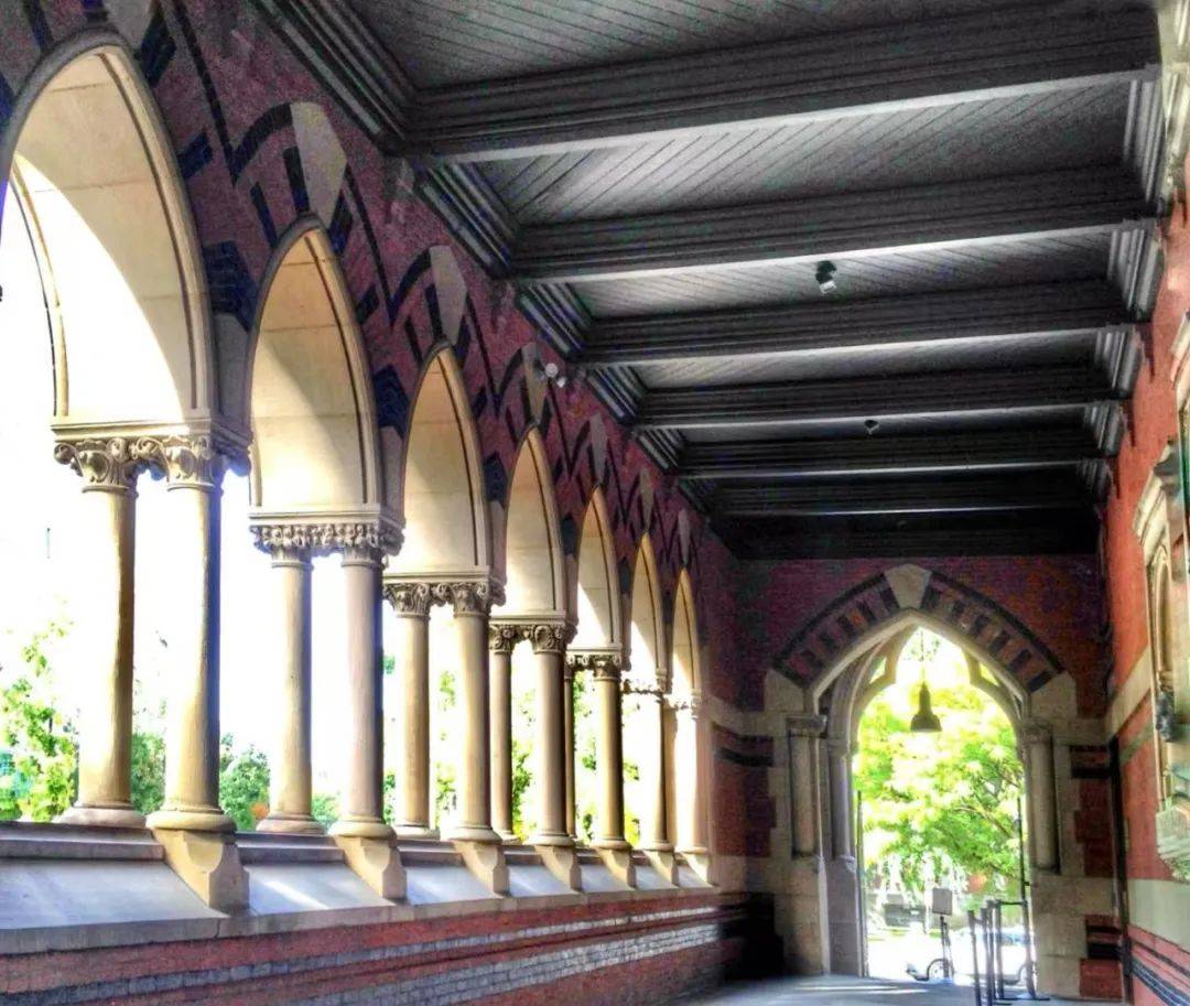 哈佛与白宫对决,美国人如何站队?