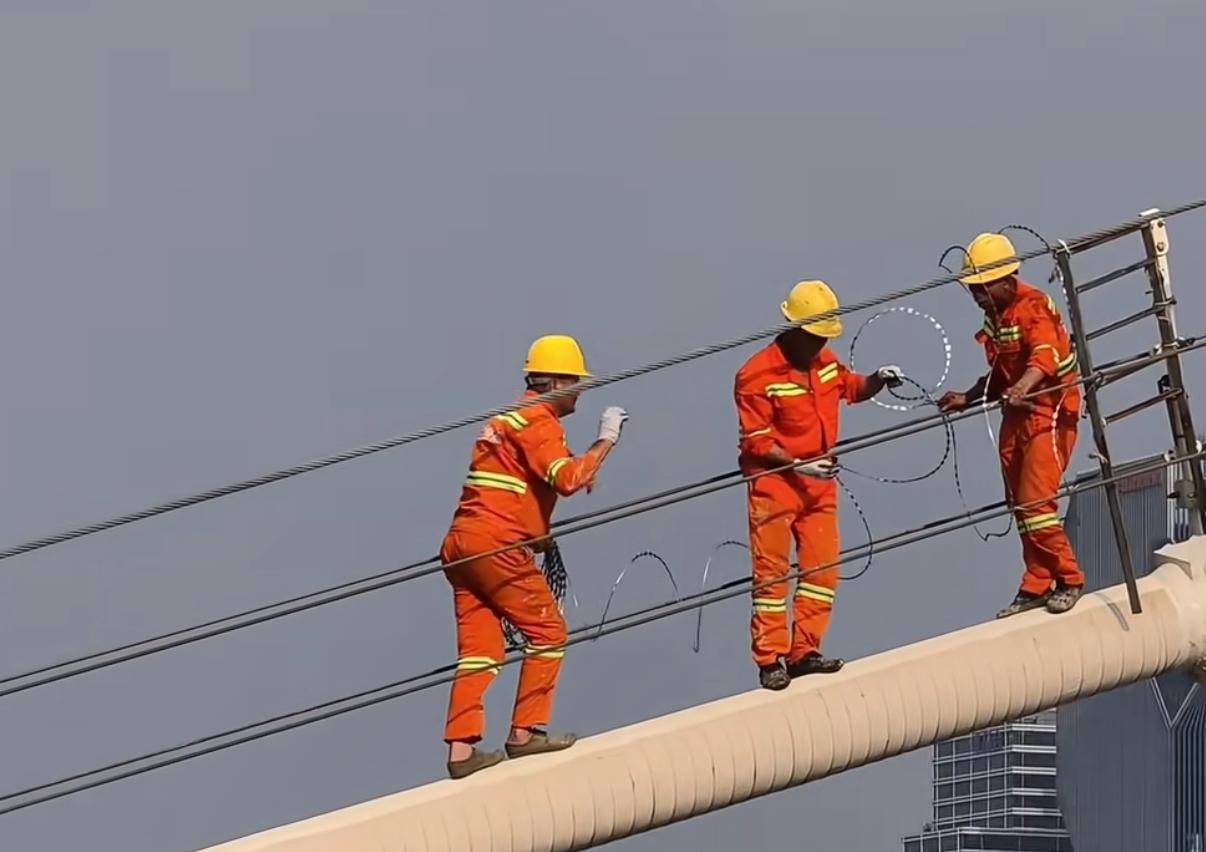 广州猎德大桥缆索加装倒刺铁丝!刚有男子早高峰爬上桥顶