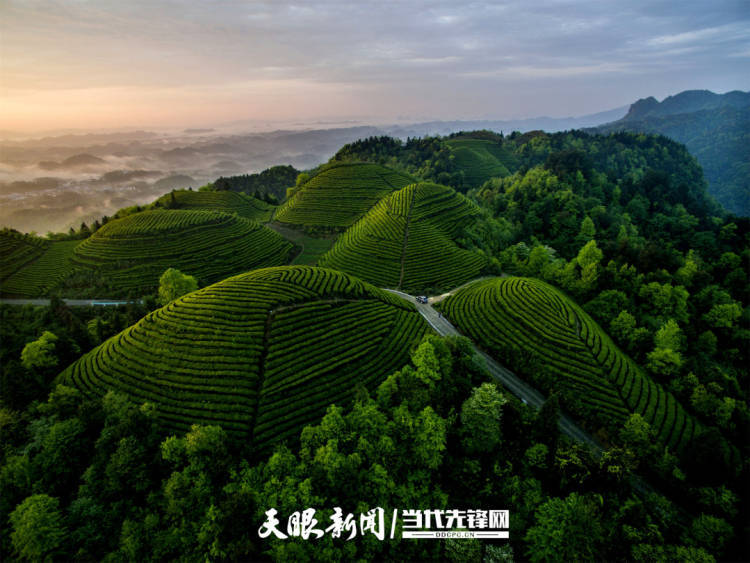 从4132亿到1.31万亿！贵州县域经济“兴”动山海