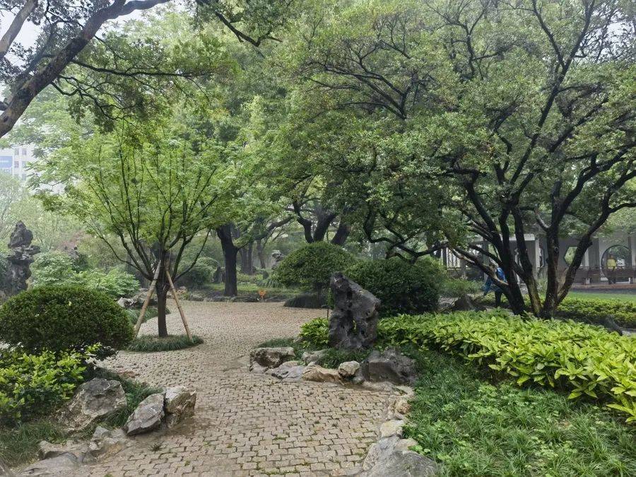 紧急提醒：瞬间爆发！上海市民崩溃：密密麻麻，蠕蠕爬行...“梧桐区”已开始战斗，白蚁或提前分飞