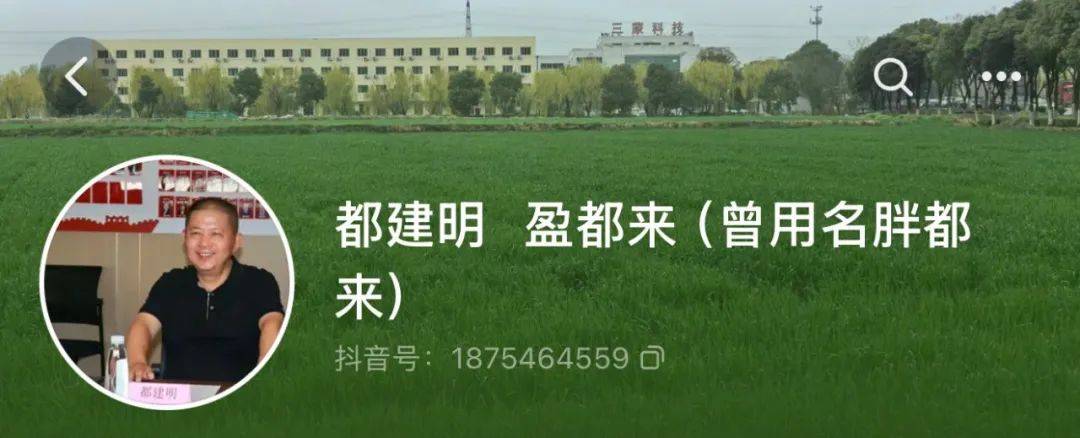 大结局!胖都来改名盈都来!