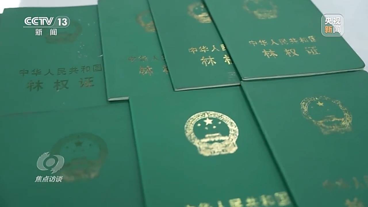 焦点访谈丨为有源头活水来