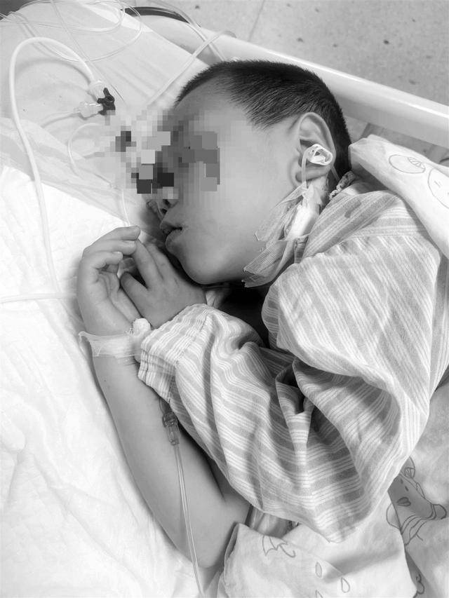 湖南一家6口误食毒蘑菇,5岁男童不幸去世