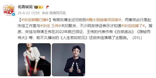 考古|宋佳被曝隐婚?男方曾导《白夜追凶》两人恋爱7年,情路坎坷的她终修得正果