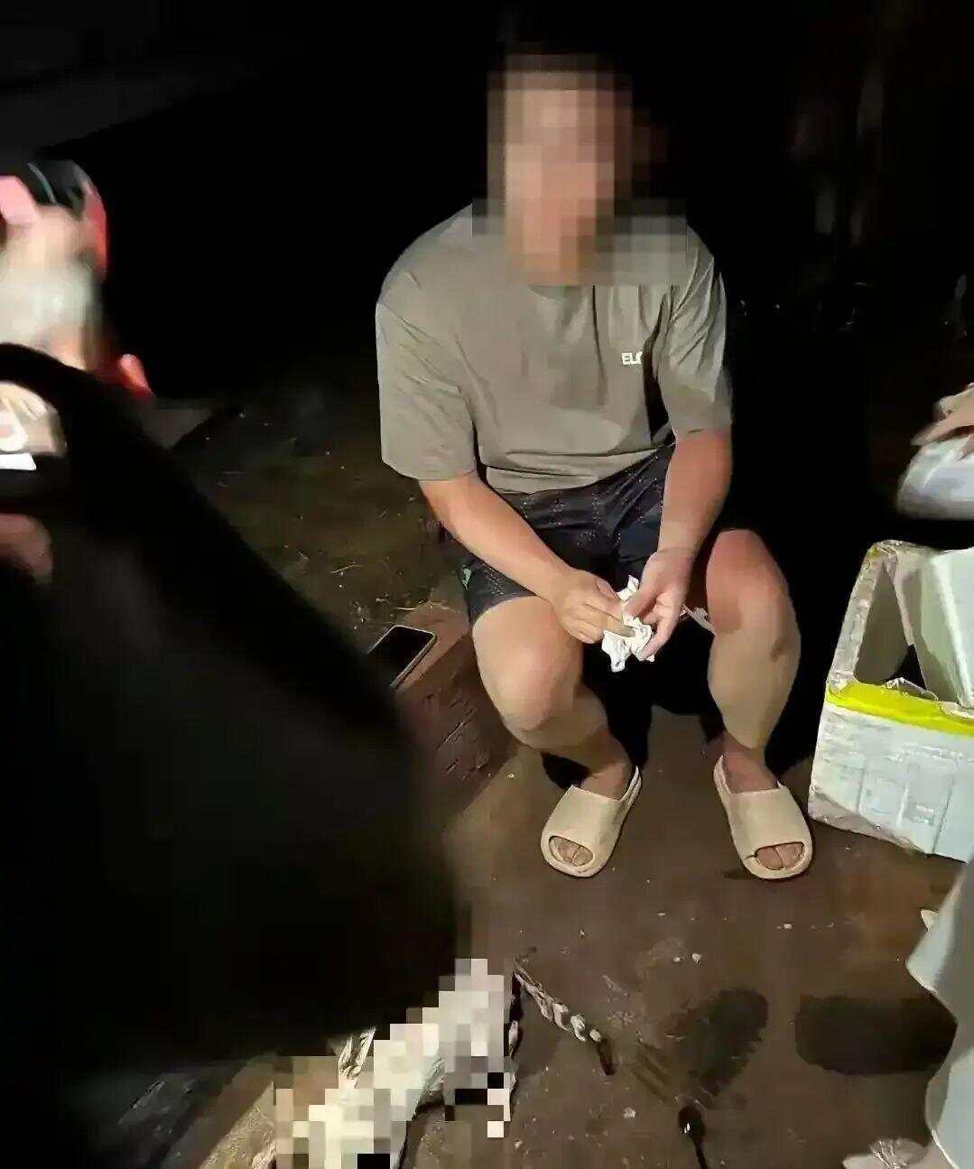 广东海洋大学通报“学生虐猫事件”:留校察看,暂停学业