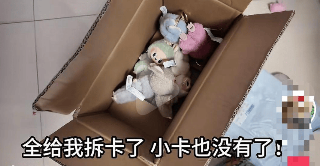 女子网购拉布布盲盒,拆开发现包装全无仅剩6个“裸娃” 中通快递回应